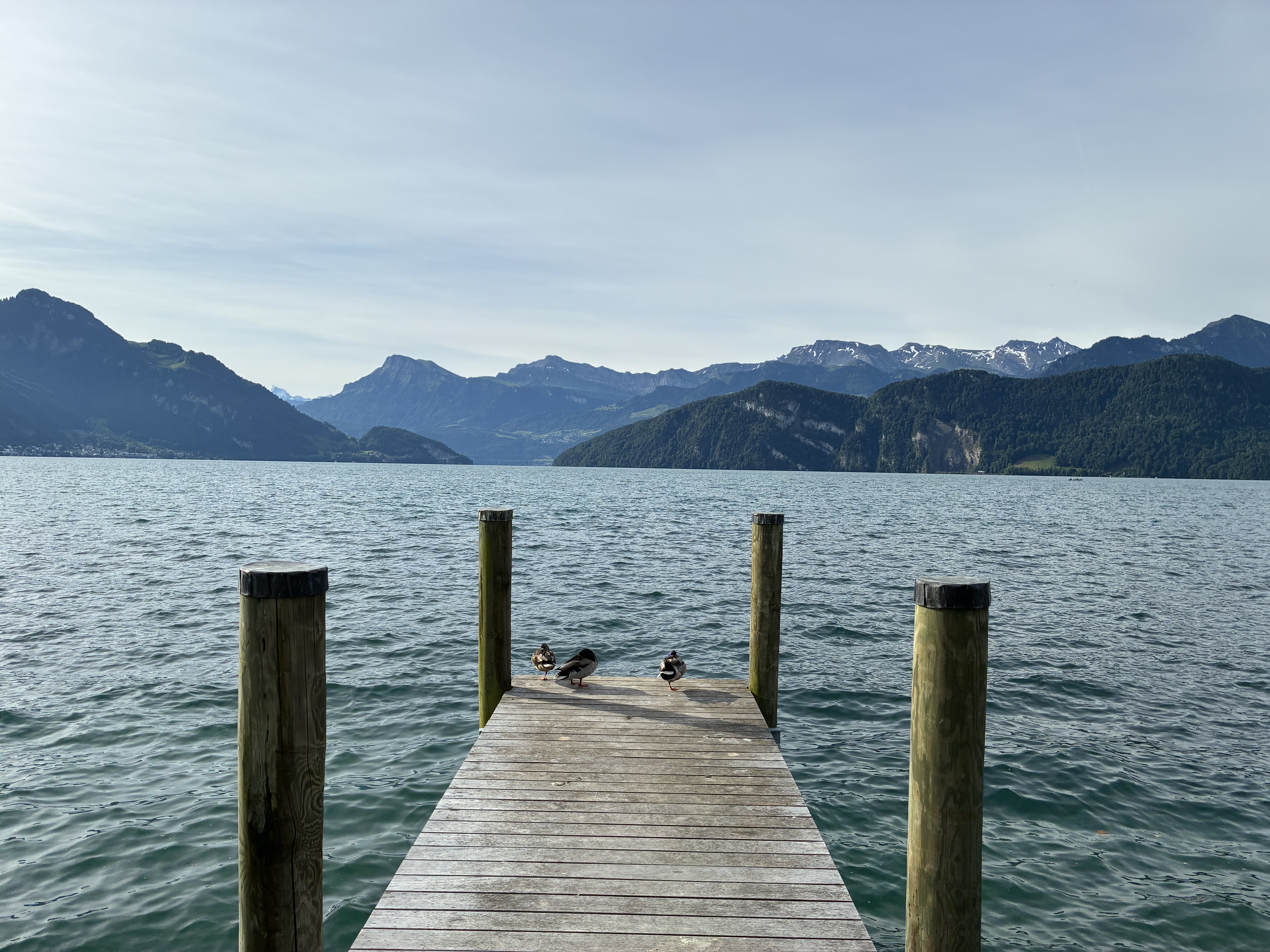 Blick auf den See und die Berge im Hintergrund.